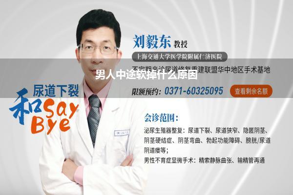 半途软了是怎么回事_男人中途软掉什么原因