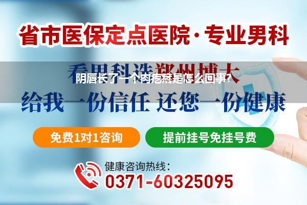 下面外侧长了一个疙瘩_阴道外面长了一个肉疙瘩摸上去很疼到底是什么